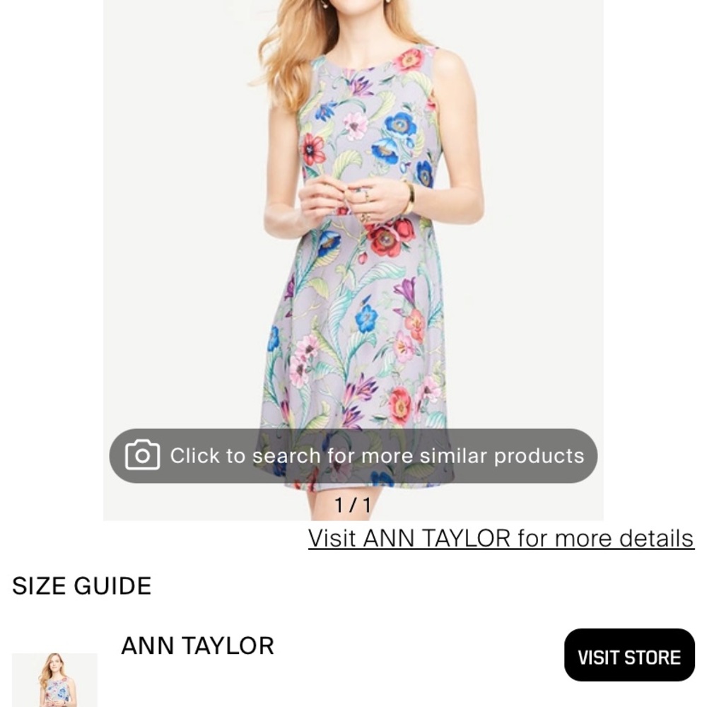 Ann Taylor Multicolor Floral Dress